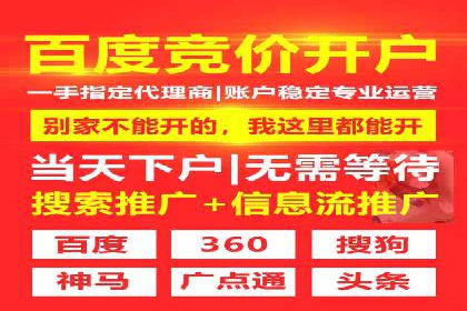 竞价广告赚钱秘籍：百度实战案例